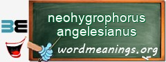 WordMeaning blackboard for neohygrophorus angelesianus